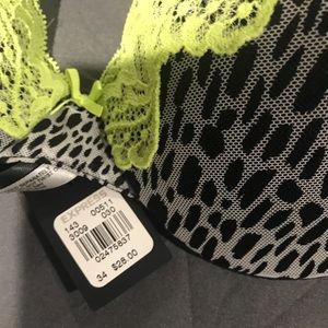 Express bra